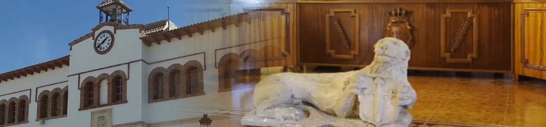 Primer pleno de la nueva legislatura 2019-2022