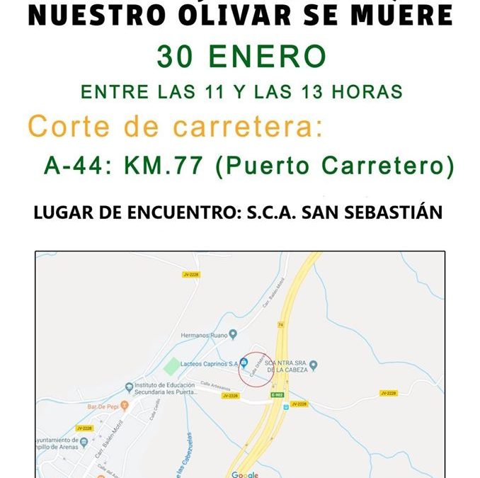 NUESTRO OLIVAR SE MUERE, CORTAMOS LAS PRINCIPALES CARRETERAS