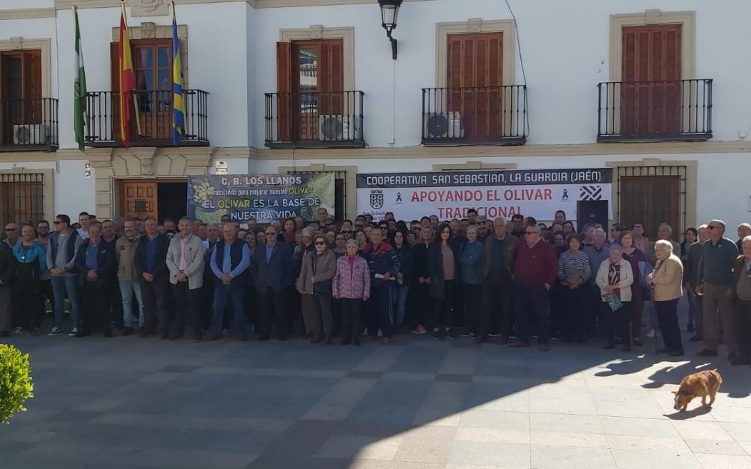 Concentración de apoyo al olivar